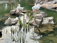 -水绘园
