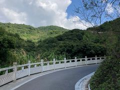 -阳台山森林公园