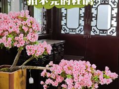-上海醉白池公园