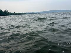 -西湖游船