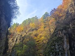 -茅兰沟国家森林公园