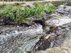 -宁波浙东大竹海景区