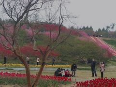 -秀丽东方