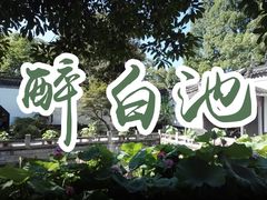 -上海醉白池公园