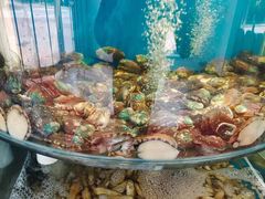 -仙螺岛海鲜自助餐厅(总店)