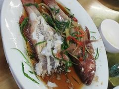 -长平肥姐白粥·海鲜打冷