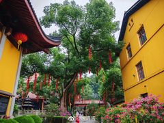 -杭州上天竺法喜讲寺