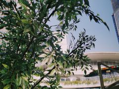 -BeauTea水仙(coco park店)