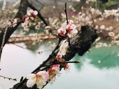 -缥缈峰景区
