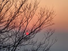 -杭州半山国家森林公园