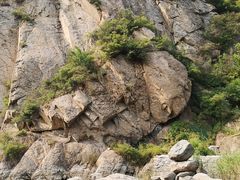 -灵溪风景区