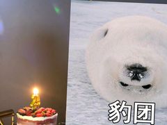 -like you像你烘焙体验店