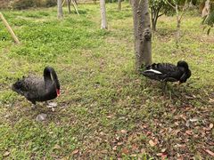 -昆山城市生态森林公园