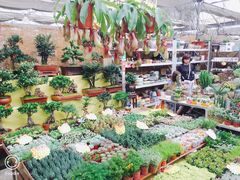 -秦美花卉(天朗·莱茵小城2期店)