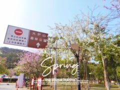 -火炉山森林公园