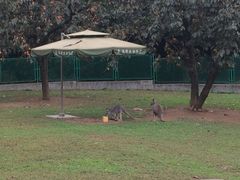 景点-西安秦岭野生动物园