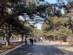 -北陵公园
