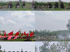 -泗洪洪泽湖湿地景区