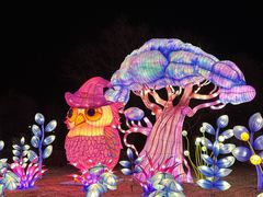 -沈阳奥体冰雪嘉年华