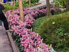 -云溪植物园