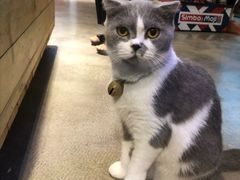 -趣陶陶艺手工坊(新世界百货重庆店)