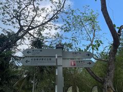 -三亚红色娘子军演艺公园景区