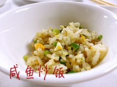 -新陶陶酒家