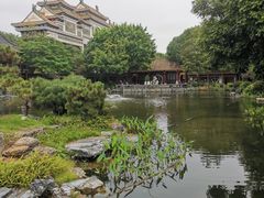 -顺峰山公园