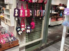 -猫咪博物馆(顶澳仔猫街店)