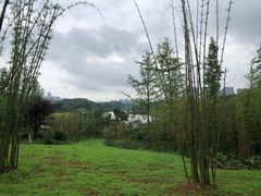 -贵阳万丽酒店