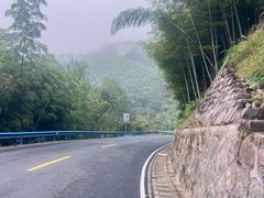 -四明山国家森林公园