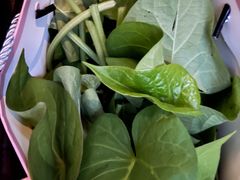 -象头山国家级自然保护区