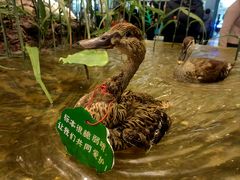 -浙江自然博物院(杭州馆)