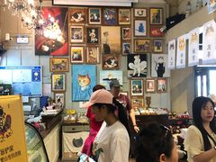 -猫咪博物馆(顶澳仔猫街店)