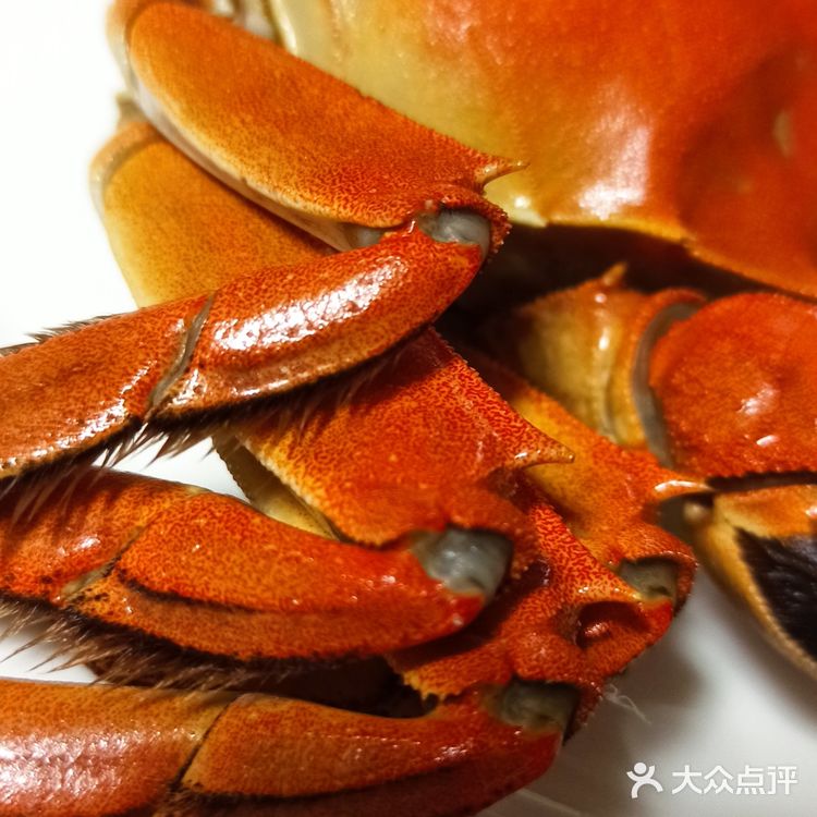 橙色的诱惑