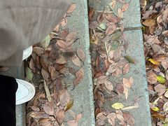 -宁波市保国寺古建筑博物馆