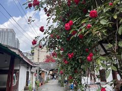 -冒椒火辣(太古里店)