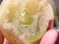 -马陆小张葡萄园农家乐