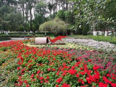 -西宁市人民公园(城西区)