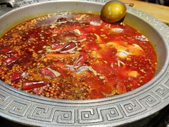 牛油红汤-杨肥肠火锅大排档(火车站花园店)