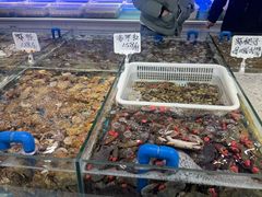 -小海丁