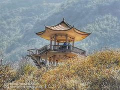 -广州市流溪河国家森林公园