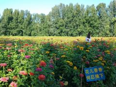 -乌龙峡谷景区