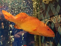 -陶陶居·雅园(凯华国际店)