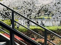 -IKEA宜家家居(南京商场)