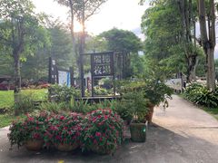 -瑞穗牧场