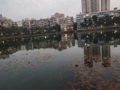 -宝岛公园
