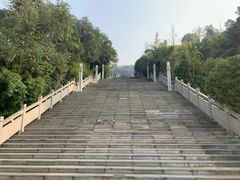 -铁山坪森林公园