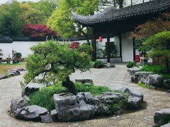 -上海醉白池公园