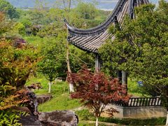 -龙寺生态园
